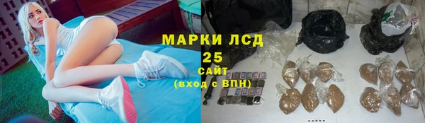 тгк Пестово