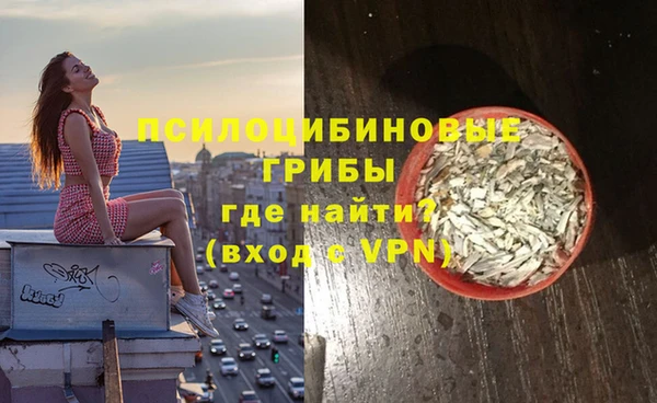 мдпв Переславль-Залесский