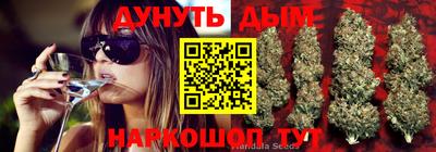 PSILOCYBIN Пушкино