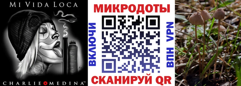 Галлюциногенные грибы GOLDEN TEACHER  купить закладку  Усть-Илимск 
