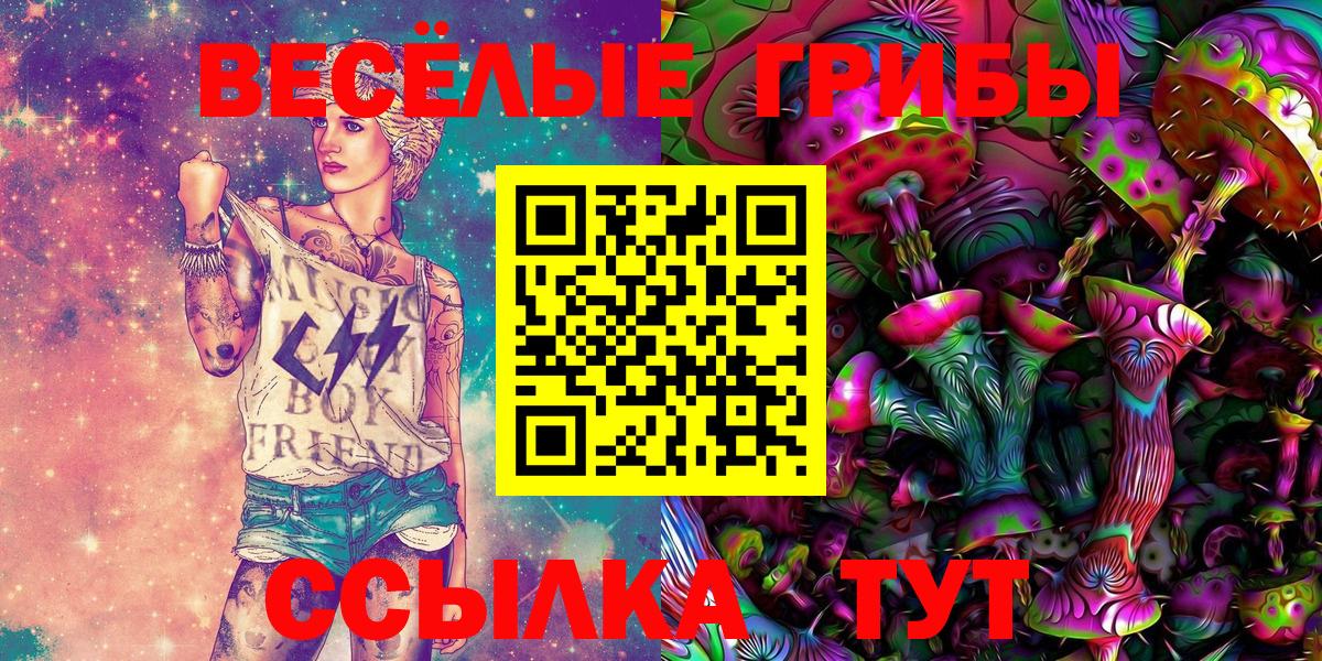 где можно купить   Вход с VPN  Усть-Илимск  Псилоцибиновые грибы GOLDEN TEACHER  Псилоцибиновые грибы ЛСД 